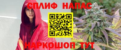тгк Брянск