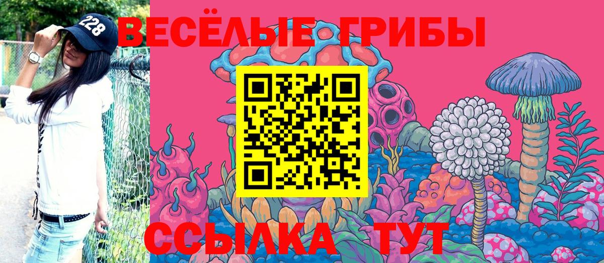 Белово  Псилоцибиновые грибы MAGIC MUSHROOMS  Вход с VPN 